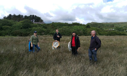 Surveying for marsh flies in Mulranny with the Applied Ecology Unit